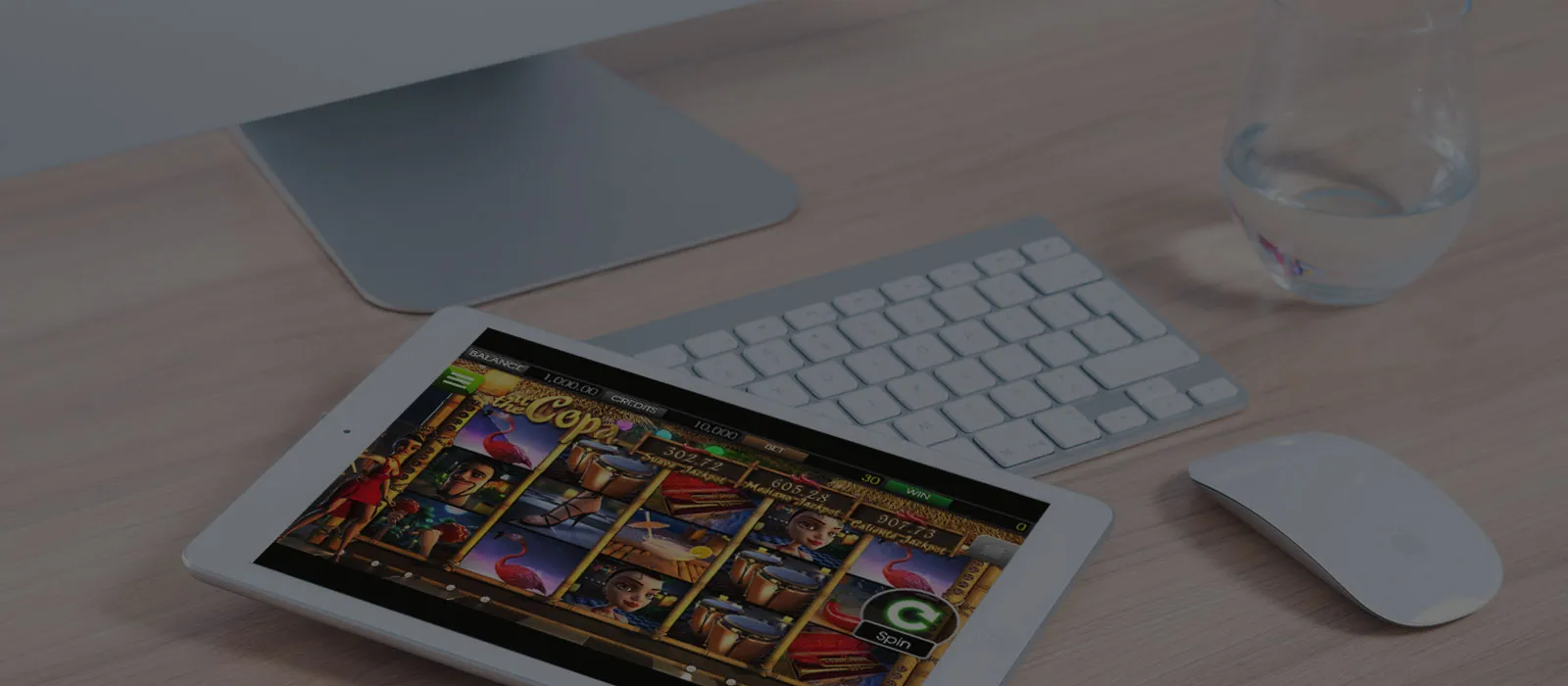 Casino Back Office Solutions